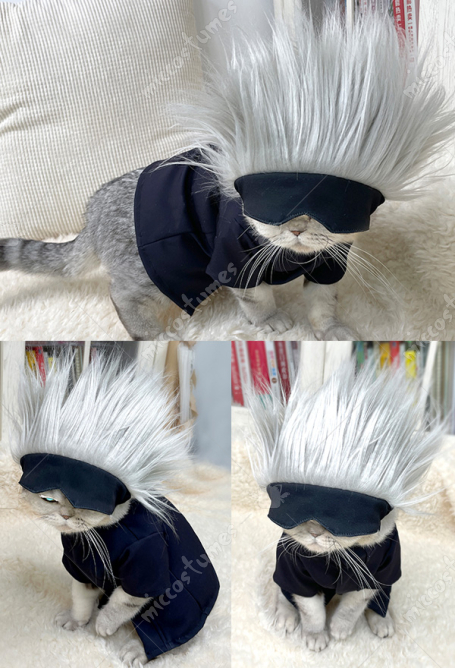 Animaux De Compagnie Cosplay Gojo Satoru Cosplay Perruque Et Masque Chat Chien Cosplay Accessoire A Vendre