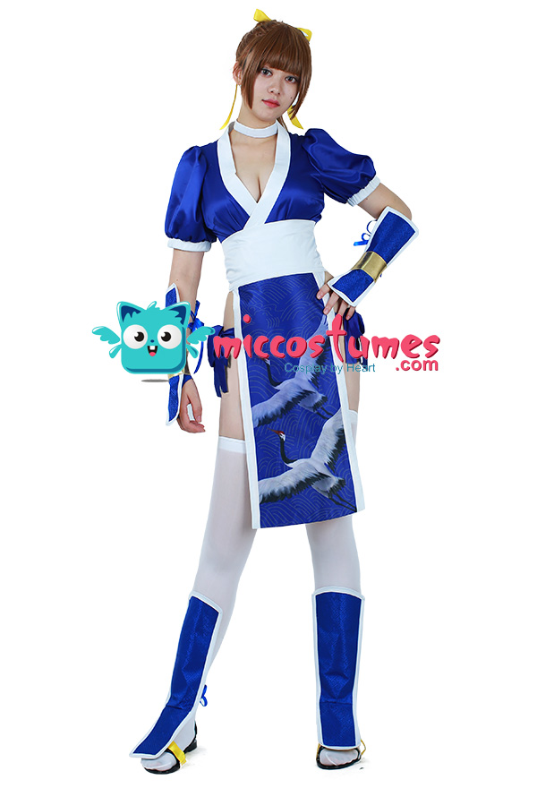Dead Or Alive Kasumi Cosplay Costume